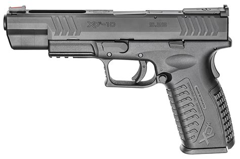 Home Defense Pistol 5