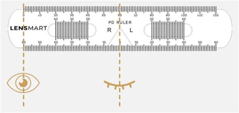 How to Use Printable PD Ruler Template