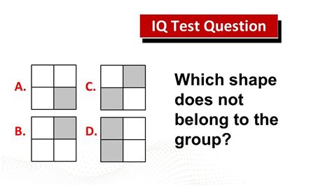 IQ Test Examples Image 2