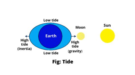 Importance of Tide Calendars for Coastal Communities