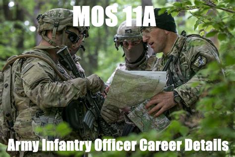 Infantry Officer