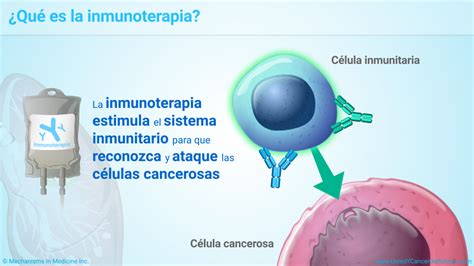 Ilustración de la inmunoterapia