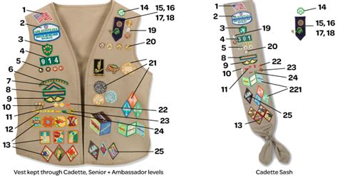 Insignia and Awards Guidelines