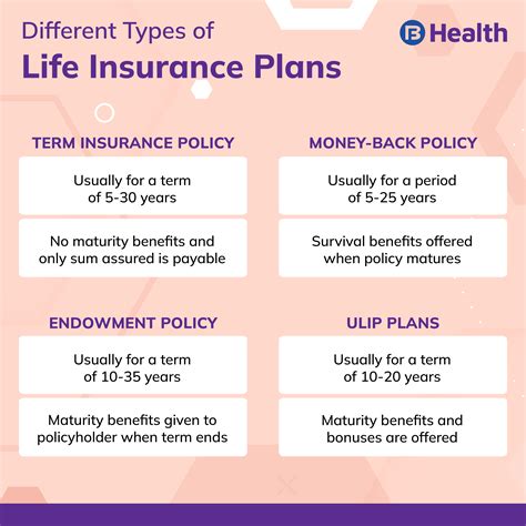 Insurance Options