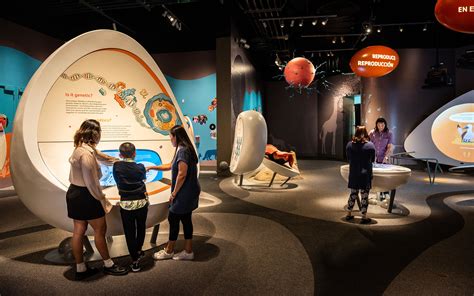 Interactive Exhibits