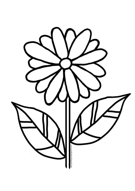 Introduction to Flower Colouring Pages