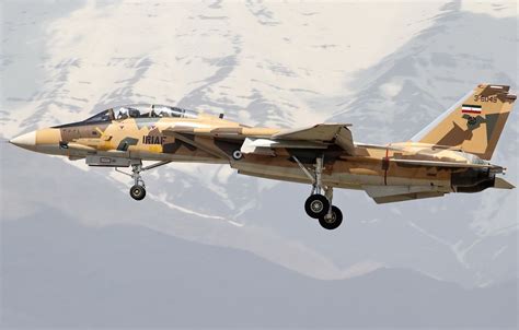 Iranian F-14 in flight