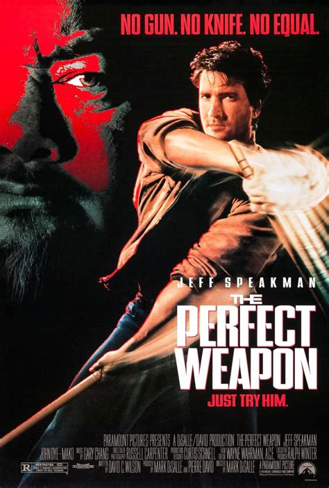 Jeff Speakman in The Perfect Weapon 1991