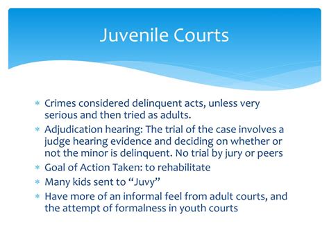 Juvenile Court System