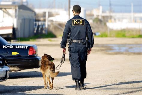 K9 Handler communicating with their dog