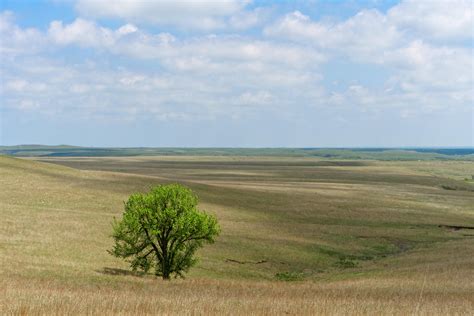 Kansas prairies