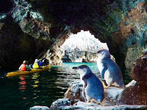 Kayaking in US Marine Reserves