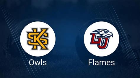 Kennesaw State Owls vs Liberty Flames head-to-head