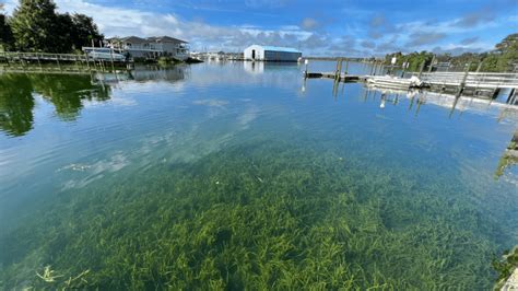 Kings Bay Landscape