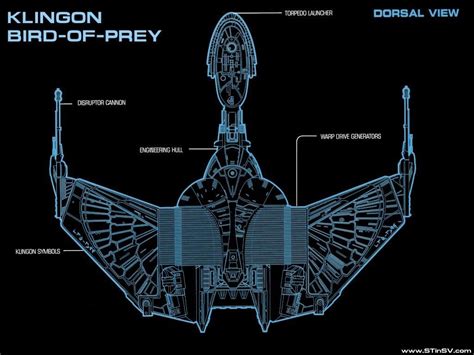 Klingon Bird of Prey Schematic