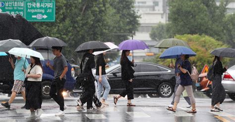 Korea Weather in June Rain