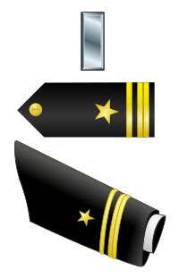 Lieutenant Junior Grade Insignia