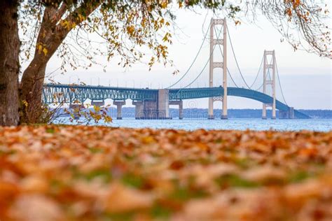 Mackinac Bridge in Fall