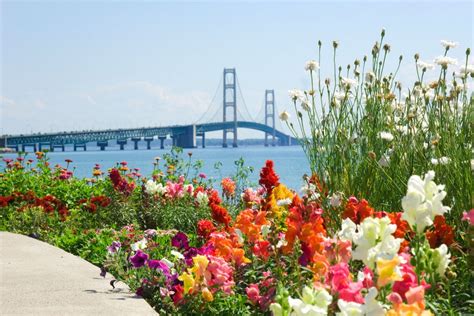 Mackinac Bridge in Spring