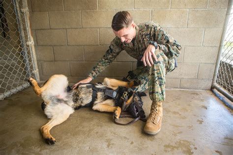 Marine Corps Canine Handler and their dog