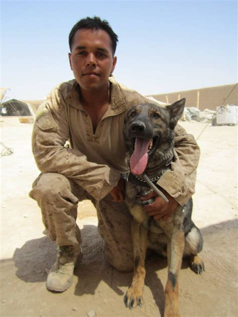 Marine Corps Canine Handler and their dog in training