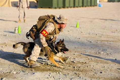 Marine Corps Canine Unit Deployment