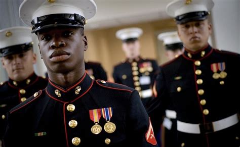 Marine Corps Careers: Roles and Specialties