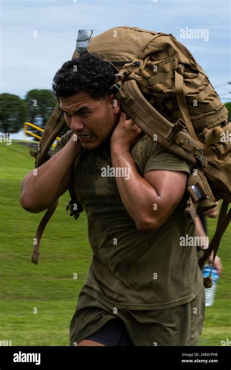 Marine Corps Infantryman Unit Training Exercise