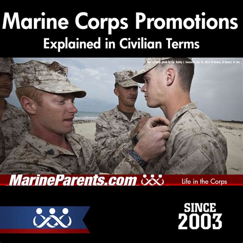 Marine Corps Promotion Process