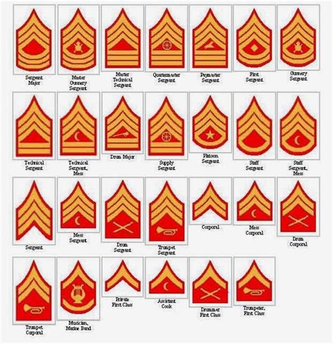 Marine Corps Rank Structure