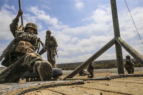 Marine Corps Teamwork