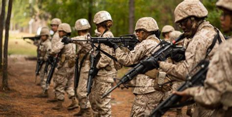 Marine Corps Training Gallery