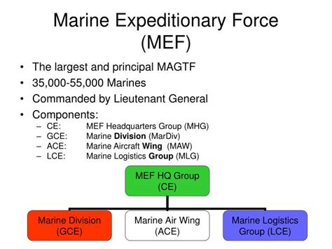 Marine Expeditionary Force Structure