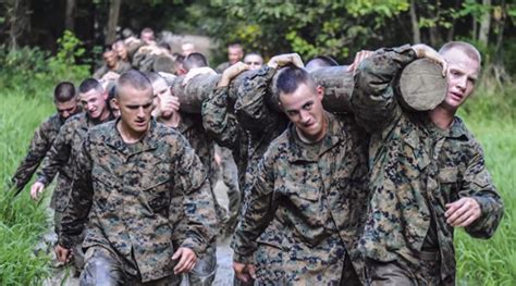 Marine OCS Training Programs