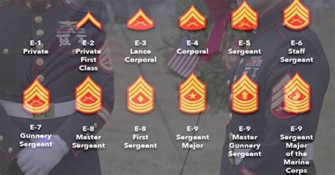 Marine Sergeant Major Rank Requirements