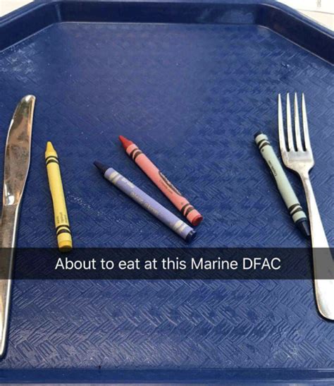 Marines Eating Crayons Gallery 2