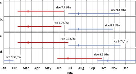 Final Thoughts on Maximizing DSD Calendar Potential