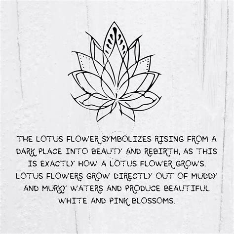 Meaning Behind Lotus Tattoos Explained