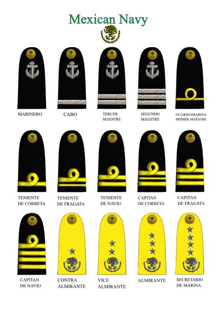 Mexican Navy Structure