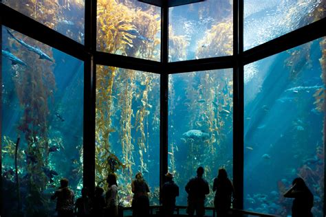 Monterey Bay Aquarium