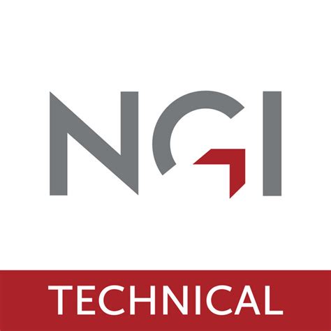 NGI Technical Maturity