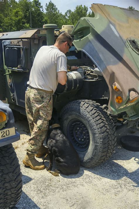 National Guard Service Dogs