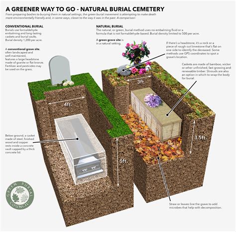 Natural burial grave