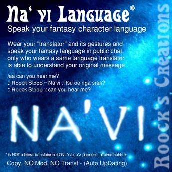 Navi Translator Guide Image