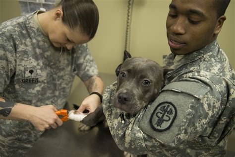 Navy Animal Care Facilities