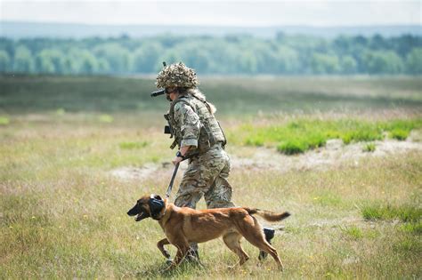 Navy Animal Handling Training