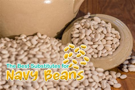 Navy Bean Substitutes