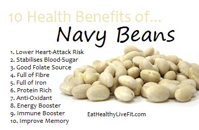 Navy Beans Health Benefits