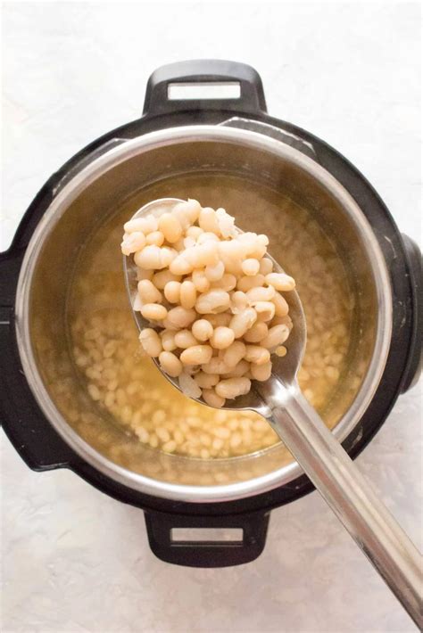 Navy Beans Preparation Methods