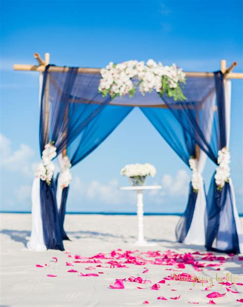 Navy Blue Beach Wedding Example